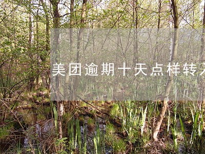 美团逾期十天点样转入 美团逾期十天点样转入