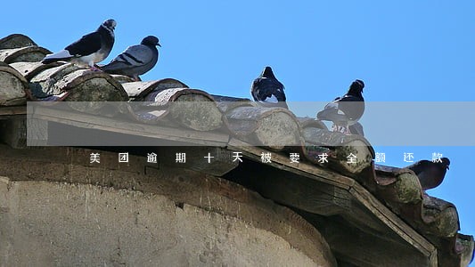 美团逾期十天被要求全额还款