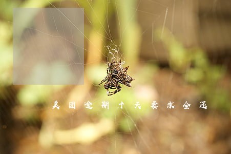 美团逾期十天要求全还 美团逾期十天要求全还