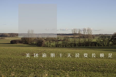 美团逾期十天说要传唤是真的么 美团逾期十天说要传唤是真的么