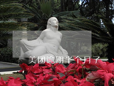 美团逾期半个月了 美团逾期半个月了