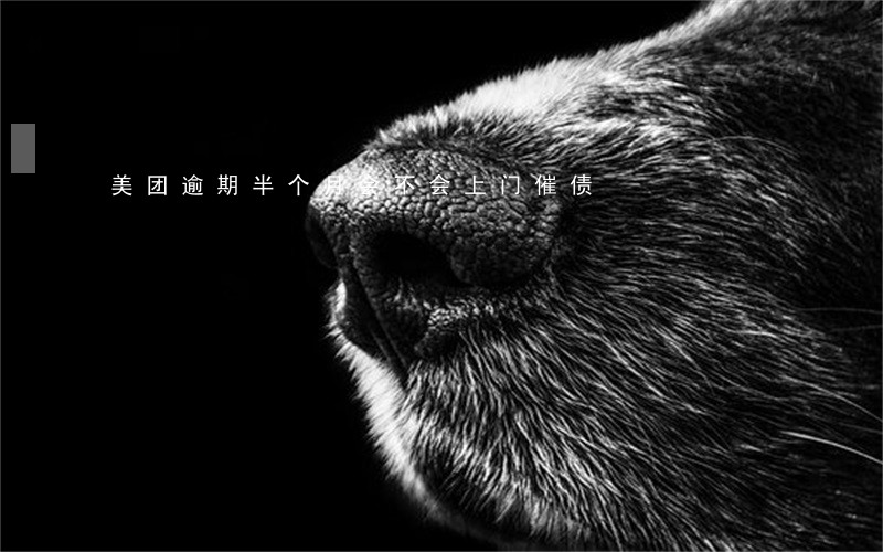 美团逾期半个月会不会上门催债 美团逾期半个月会不会上门催债