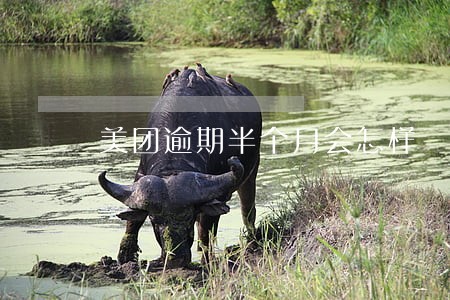 美团逾期半个月会怎样 美团逾期半个月会怎样