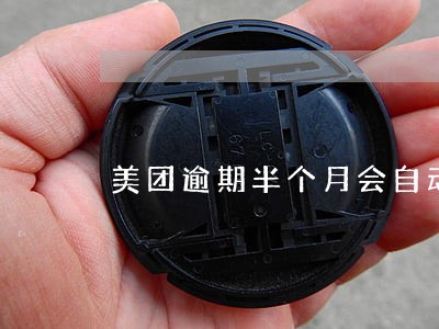 美团逾期半个月会自动撤销吗 美团逾期半个月会自动撤销吗