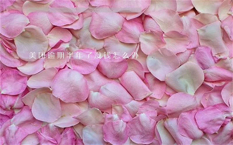 美团逾期半年了没钱怎么办 美团逾期半年了没钱怎么办