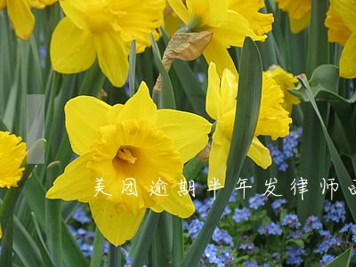 美团逾期半年发律师函 美团逾期半年发律师函