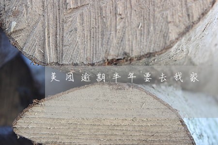 美团逾期半年要去我家 美团逾期半年要去我家