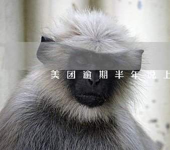 美团逾期半年说上门是真的么