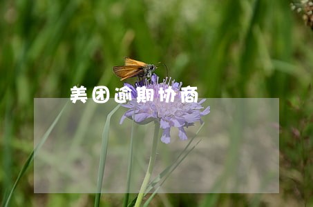 美团逾期协商