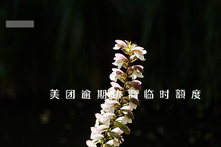 美团逾期协商临时额度