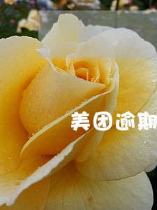 美团逾期协商怎么处理 美团逾期协商怎么处理