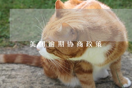 美团逾期协商政策