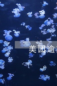 美团逾期协商方案 美团逾期协商方案