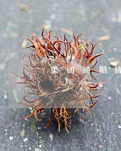 美团逾期协商方案是哪几种 美团逾期协商方案是哪几种