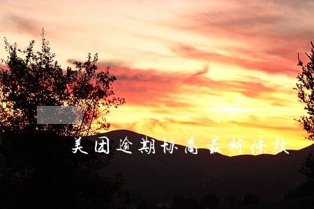美团逾期协商最新条款 美团逾期协商最新条款