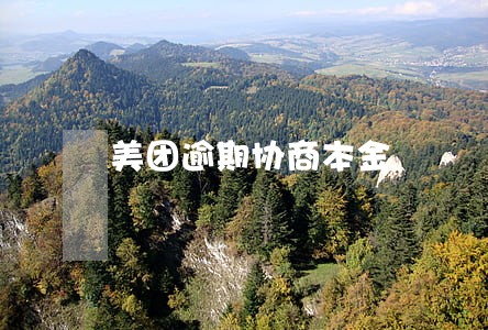 美团逾期协商本金 美团逾期协商本金