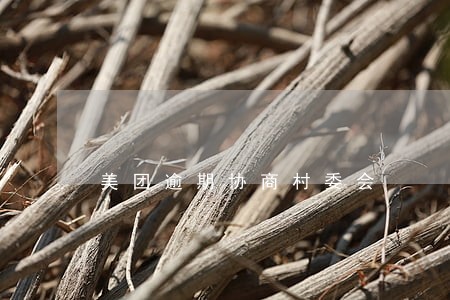 美团逾期协商村委会 美团逾期协商村委会