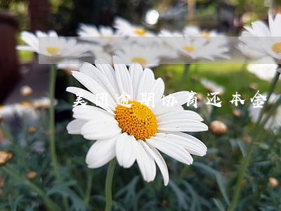 美团逾期协商还本金 美团逾期协商还本金