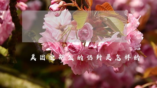 美团逾期发的信封是怎样的 美团逾期发的信封是怎样的