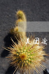 美团逾期发的开庭短信 美团逾期发的开庭短信