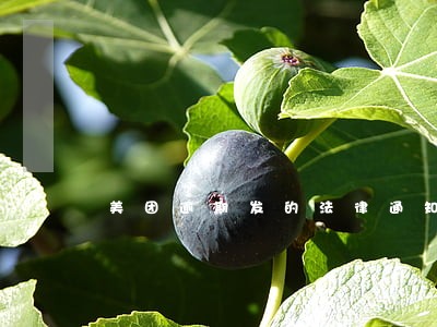美团逾期发的法律通知书 美团逾期发的法律通知书