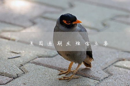 美团逾期发短信立案 美团逾期发短信立案