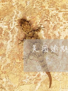 美团逾期发短信说开庭 美团逾期发短信说开庭