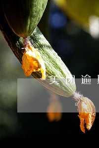 美团逾期发短信说要立案是真的吗 美团逾期发短信说要立案是真的吗