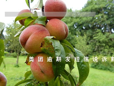 美团逾期发短信说诉前审核阶段 美团逾期发短信说诉前审核阶段