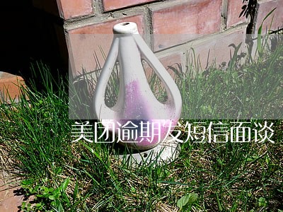 美团逾期发短信面谈 美团逾期发短信面谈