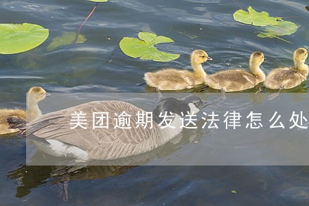 美团逾期发送法律怎么处理 美团逾期发送法律怎么处理