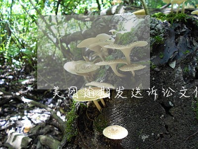 美团逾期发送诉讼文件真假 美团逾期发送诉讼文件真假