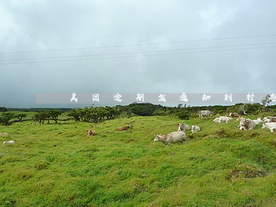 美团逾期发通知到村委会