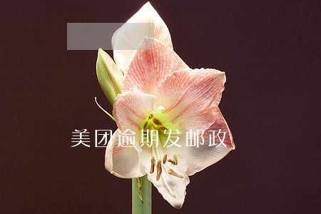 美团逾期发邮政 美团逾期发邮政