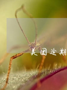 美团逾期发邮箱开庭 美团逾期发邮箱开庭