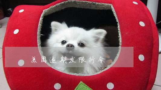 美团逾期发限行令 美团逾期发限行令