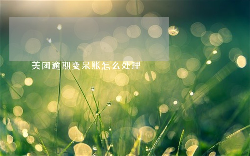 美团逾期变呆账怎么处理 美团逾期变呆账怎么处理