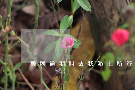 美团逾期叫去我派出所签字 美团逾期叫去我派出所签字