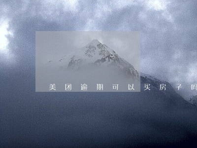美团逾期可以买房子吗 美团逾期可以买房子吗