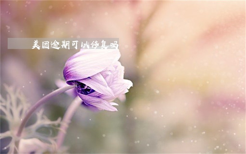 美团逾期可以修复吗 美团逾期可以修复吗