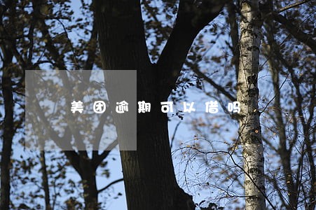美团逾期可以借吗 美团逾期可以借吗