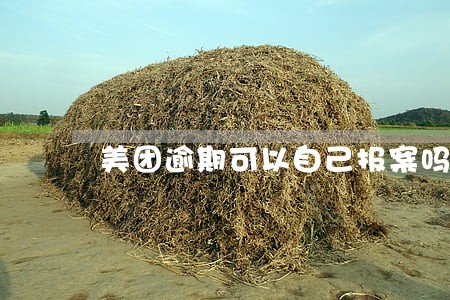 美团逾期可以自己报案吗