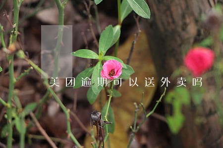 美团逾期可以送外卖吗