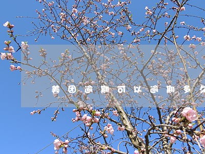 美团逾期可以逾期多久