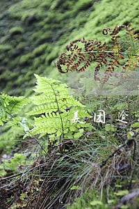 美团逾期同意只还本金 美团逾期同意只还本金