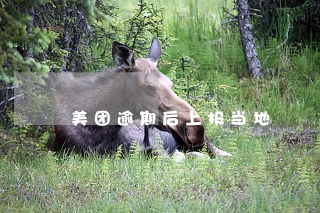 美团逾期后上报当地 美团逾期后上报当地