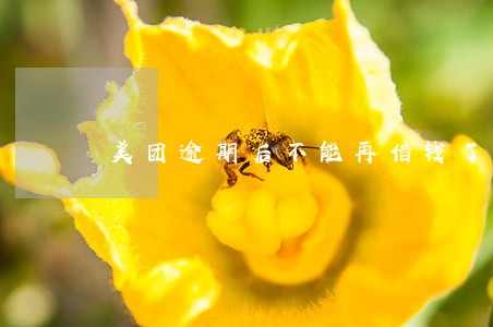 美团逾期后不能再借钱了 美团逾期后不能再借钱了