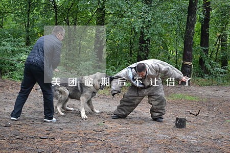 美团逾期后不让借了 美团逾期后不让借了