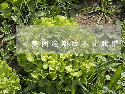美团逾期后不让我借钱了 美团逾期后不让我借钱了