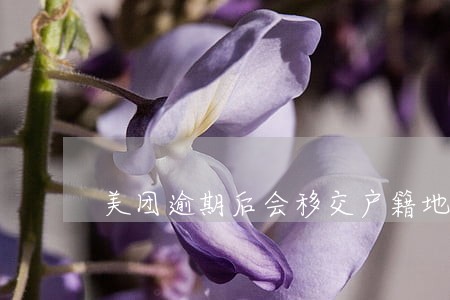 美团逾期后会移交户籍地吗 美团逾期后会移交户籍地吗